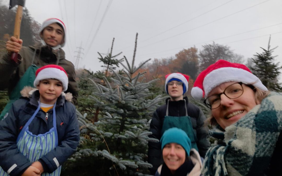 Wir holen unseren Weihnachtsbaum